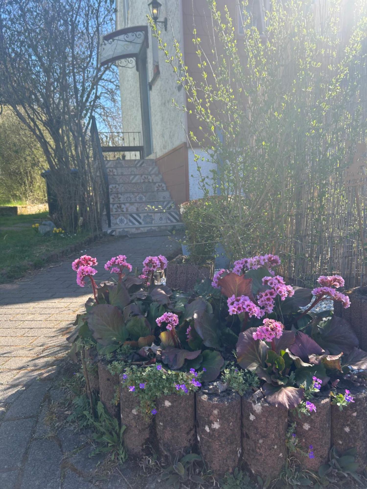 Apartment Bonnys Nohfelden